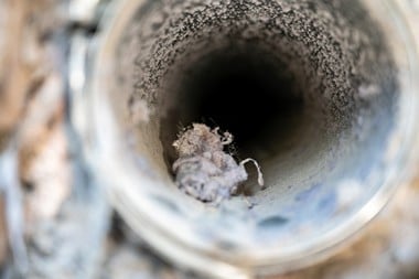 Auburn Lint Buildup Unclogging Service