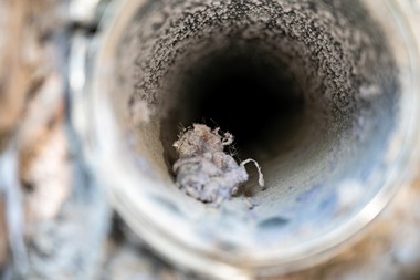Seattle Dryer Vent Cleaning Service